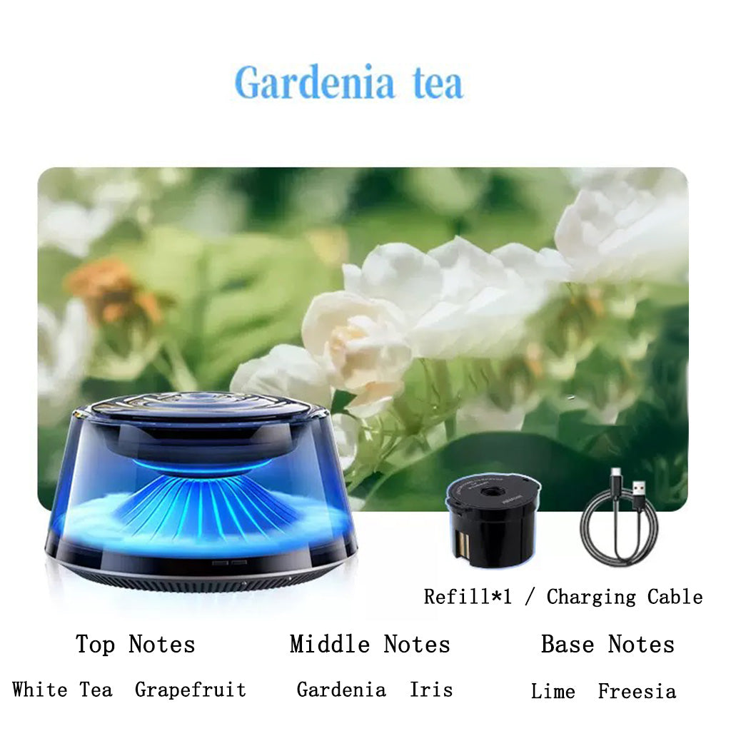 Iceberg atomizing car diffuser